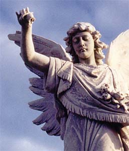 Angel at Waverley Cemetery Sydney Australia