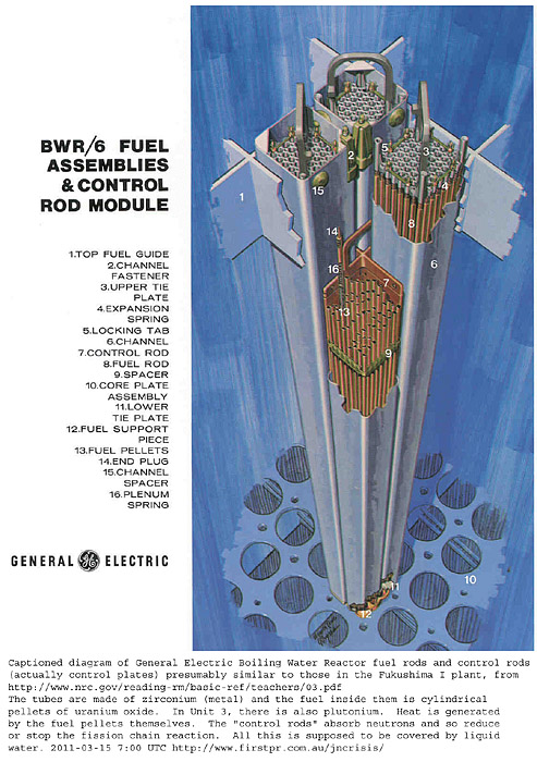 Captioned diagram of General Electric Boiling Water Reactor fuel rods and control rods (actually control plates)